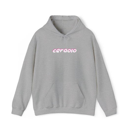 Hoodie GRIS