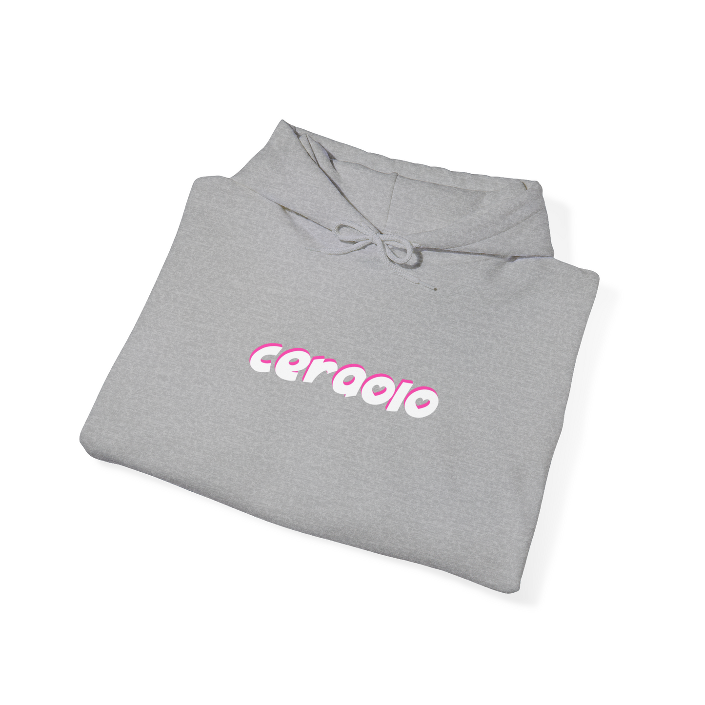 Hoodie GRIS
